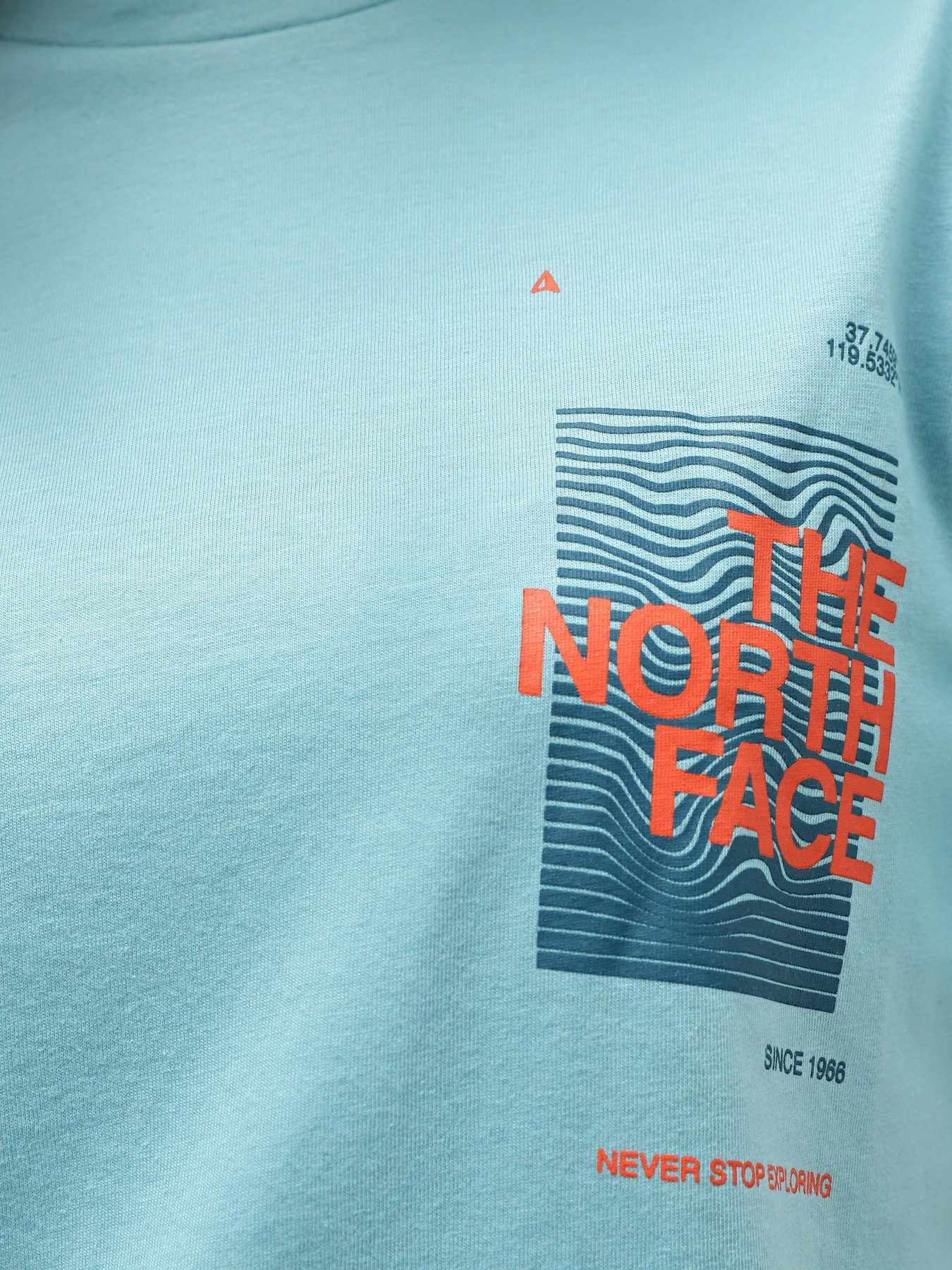 Футболка The North Face Foundation Graphic модель NF0A55B2LV21 Футболка The North Face Foundation Graphic модель NF0A55B2LV21 Фото