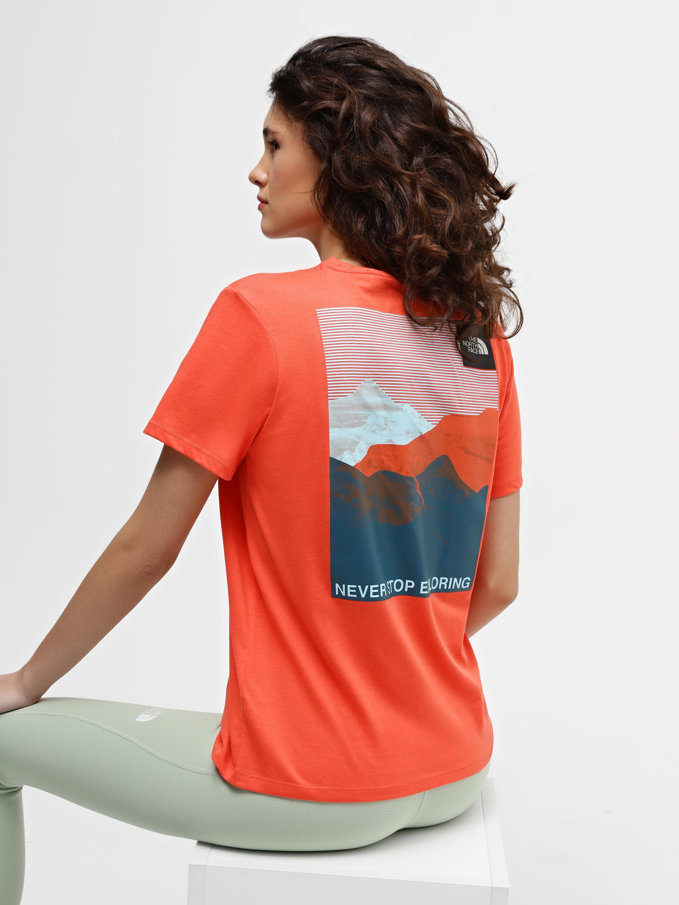 Футболка The North Face Foundation Graphic модель NF0A55B2LV31 Фото