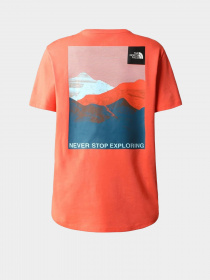 Футболка The North Face Foundation Graphic модель NF0A55B2LV31 Фото