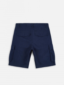 Шорты спортивные The North Face Anticline модель NF0A55B68K21 Фото