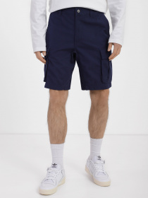 Шорты спортивные The North Face Anticline модель NF0A55B68K21 Фото