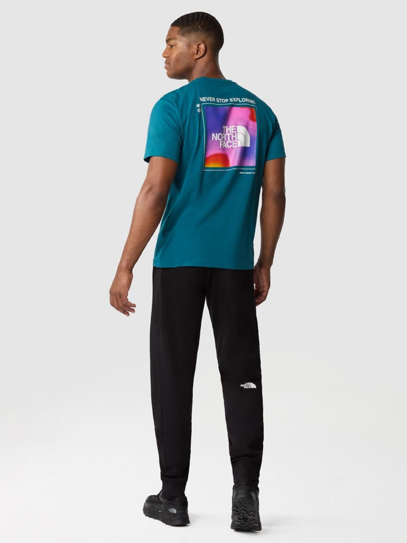 Футболка The North Face Foundation Graphic модель NF0A55EFEFS1 Фото