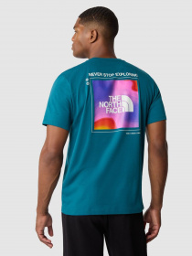 Футболка The North Face Foundation Graphic модель NF0A55EFEFS1 Фото