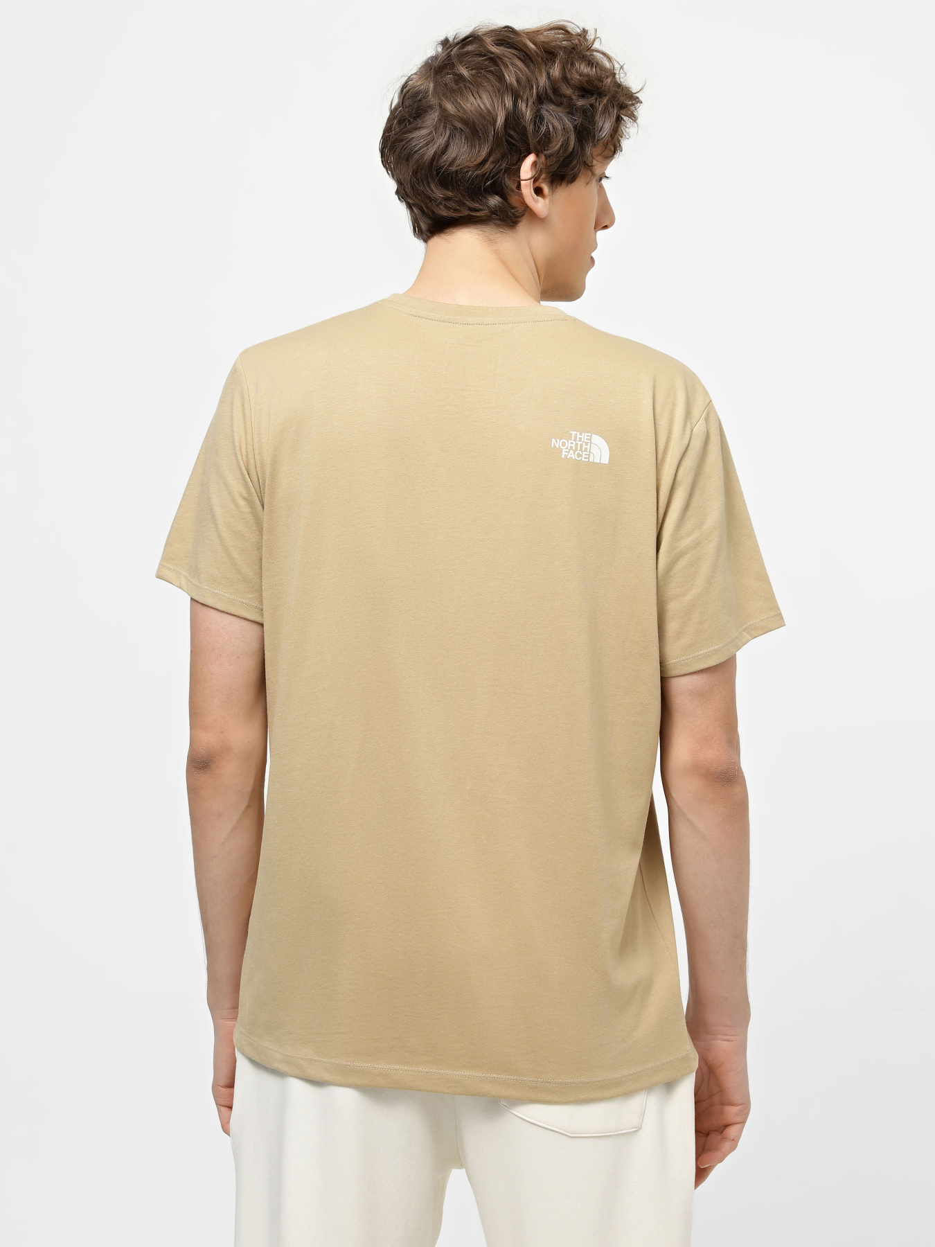 Футболка The North Face Foundation Graphic модель NF0A55EFLK51 Фото