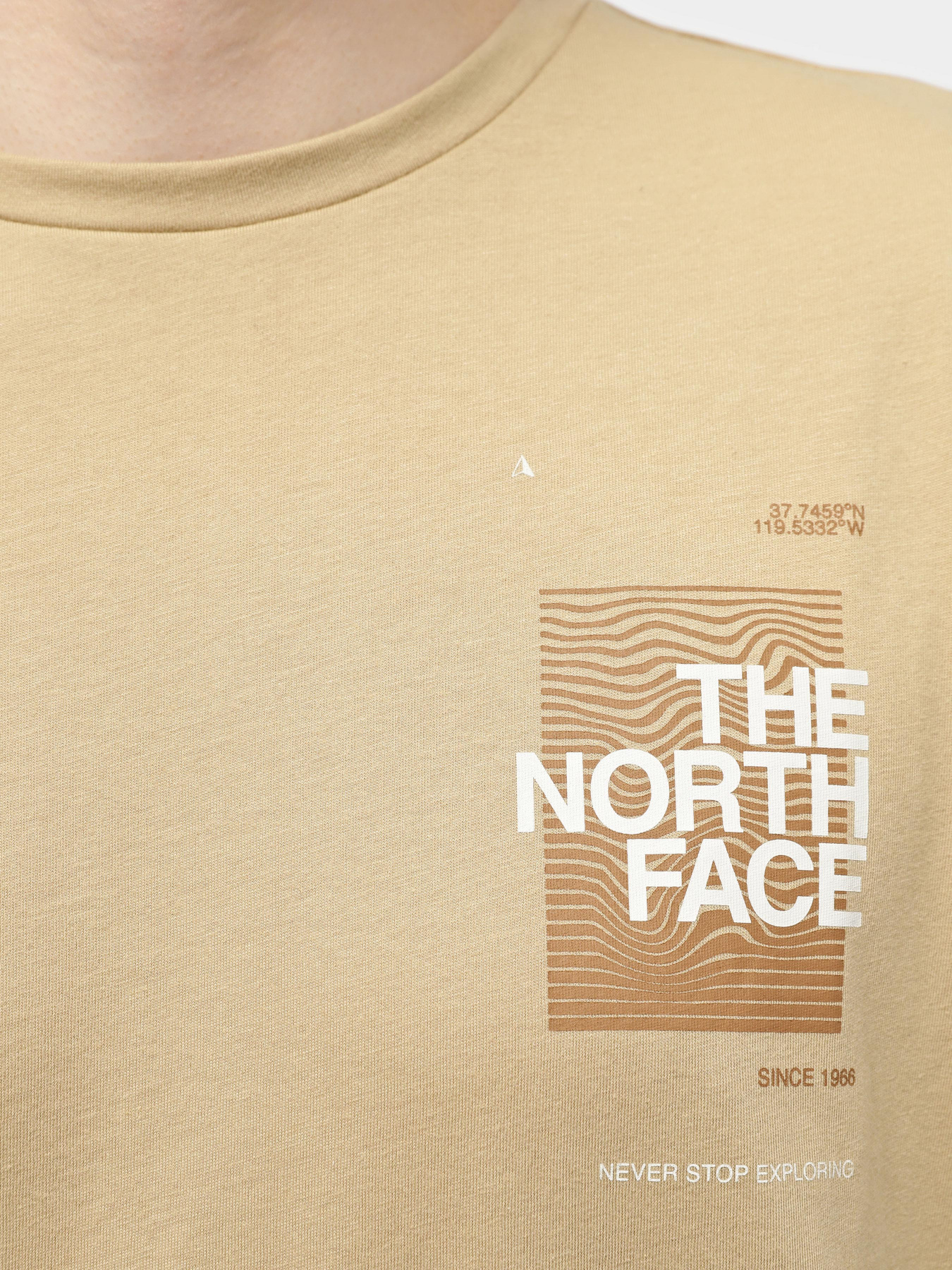 Футболка The North Face Foundation Graphic модель NF0A55EFLK51 Фото
