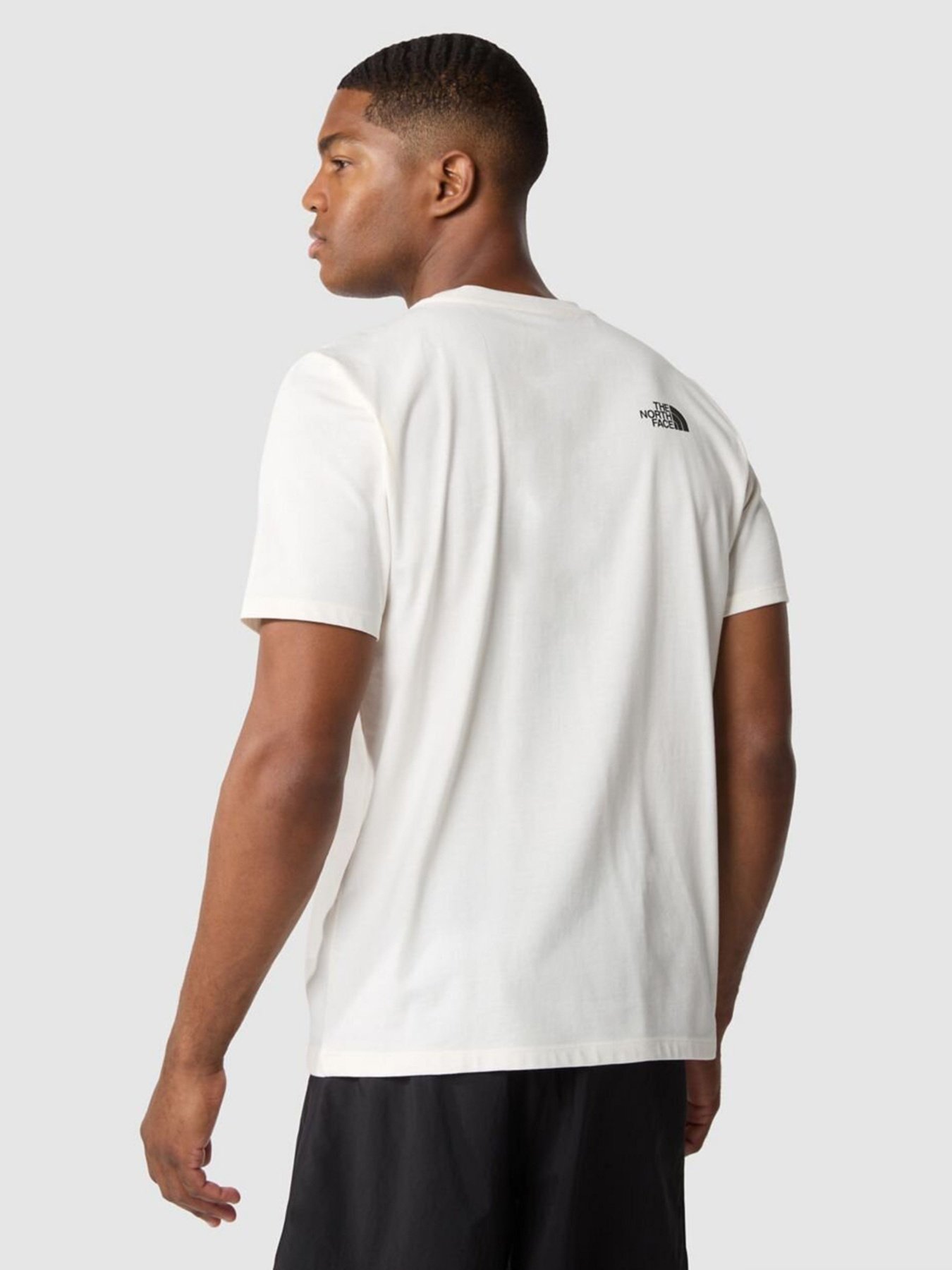 Футболка The North Face Foundation Graphic модель NF0A55EFQ4C1 Фото