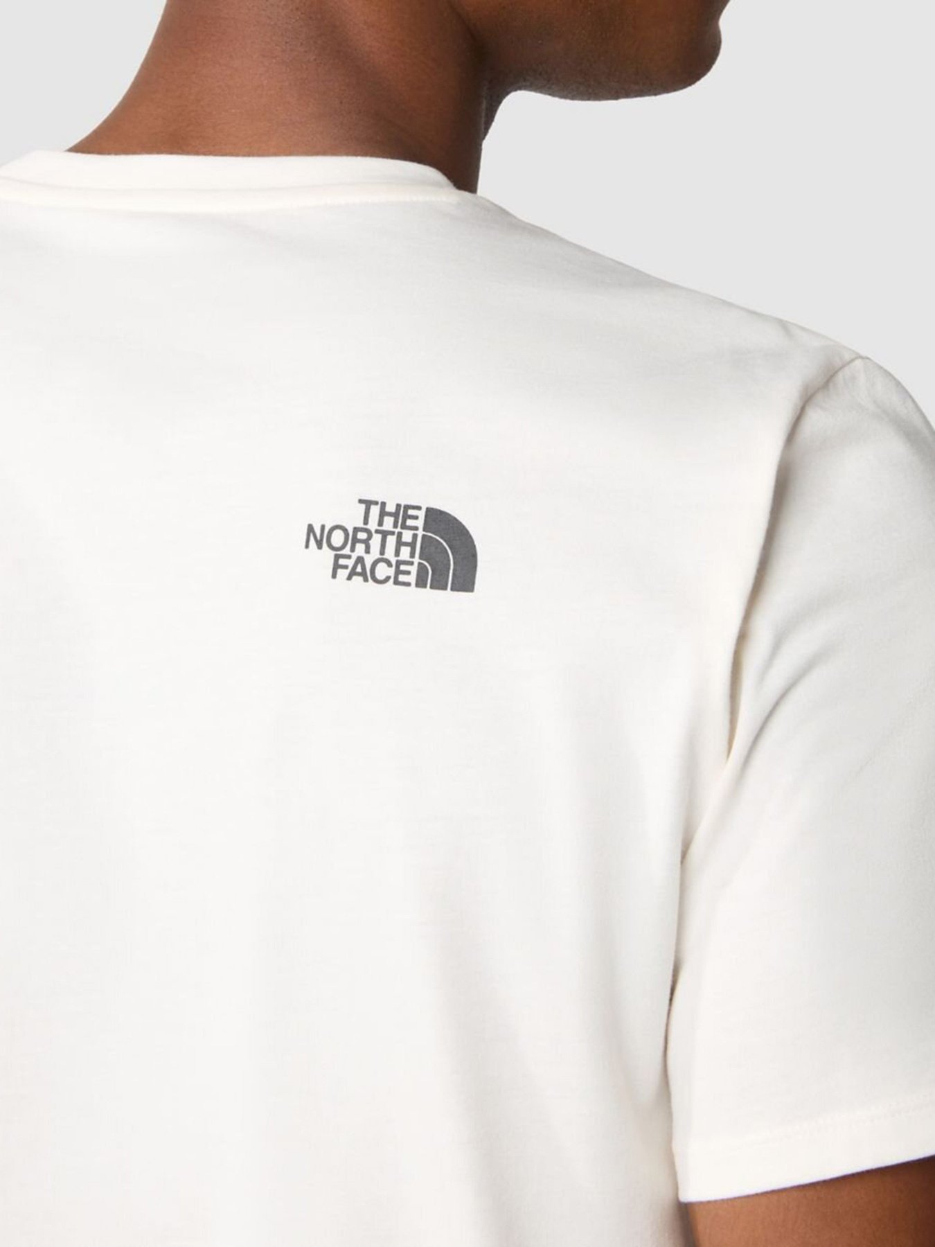 Футболка The North Face Foundation Graphic модель NF0A55EFQ4C1 Фото