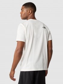 Футболка The North Face Foundation Graphic модель NF0A55EFQ4C1 Фото