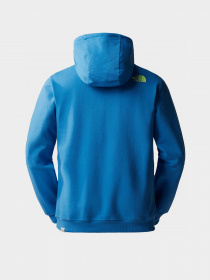 Худі The North Face модель NF0A55GFLV61 Фото