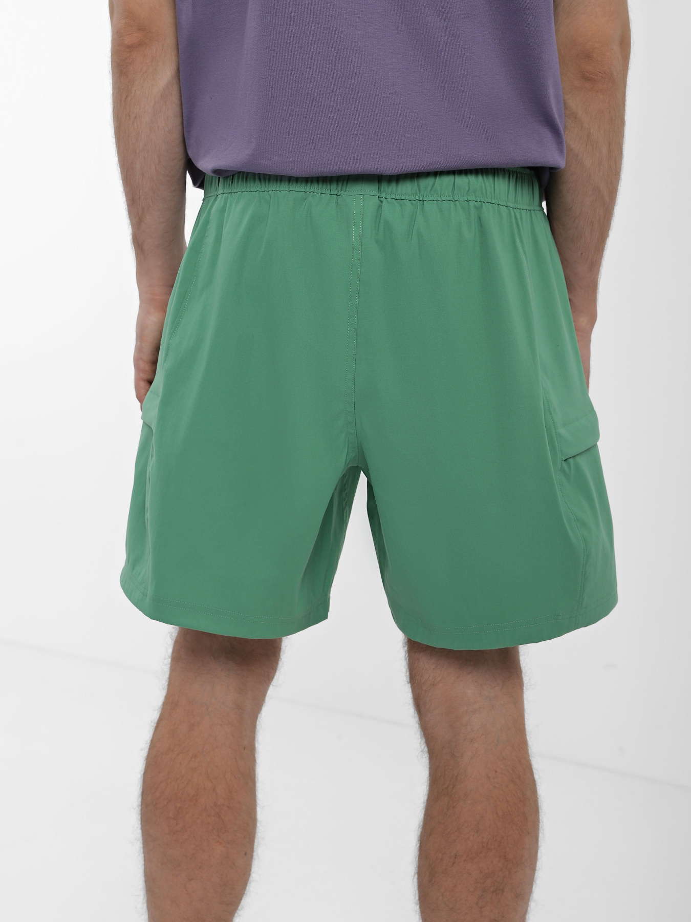 Шорты спортивные The North Face Class V Belt модель NF0A55V8N111 Фото