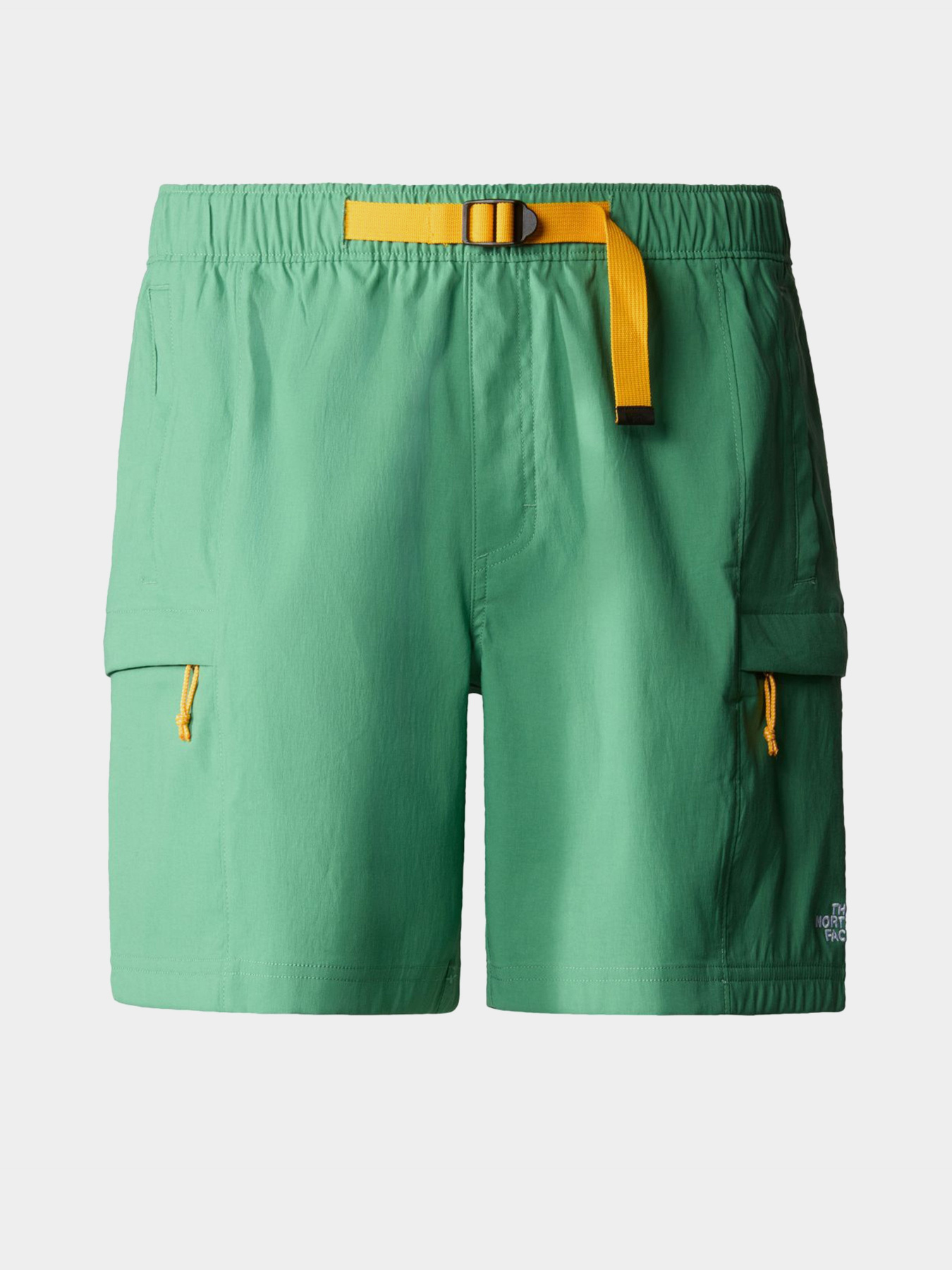 Шорты спортивные The North Face Class V Belt модель NF0A55V8N111 Фото