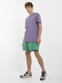 Шорты спортивные The North Face Class V Belt модель NF0A55V8N111 Фото