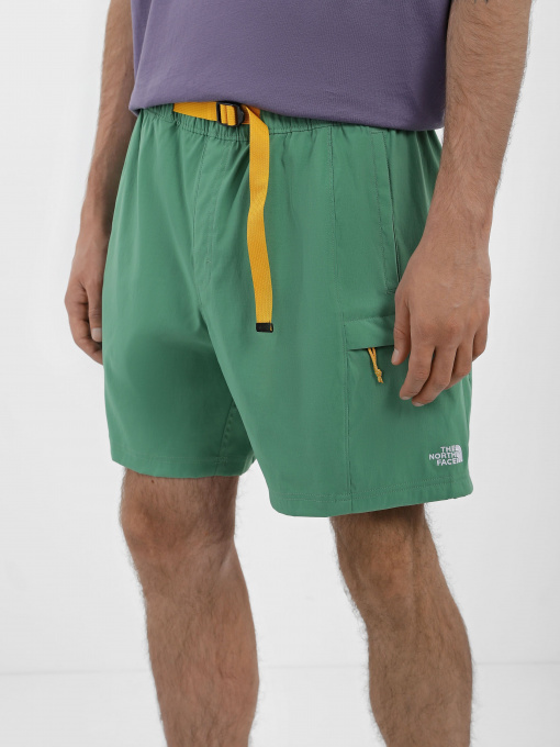 Шорты спортивные The North Face Class V Belt модель NF0A55V8N111 Фото
