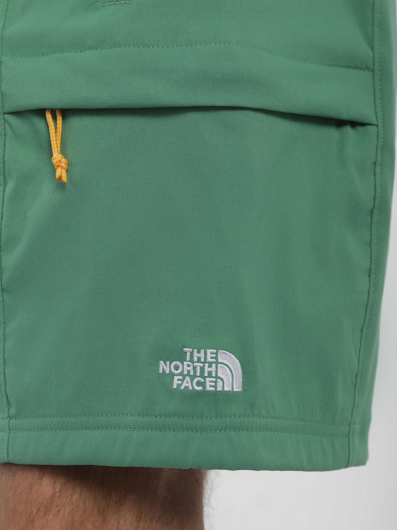 Спортивні шорти The North Face Class V Belt модель NF0A55V8N111 Фото
