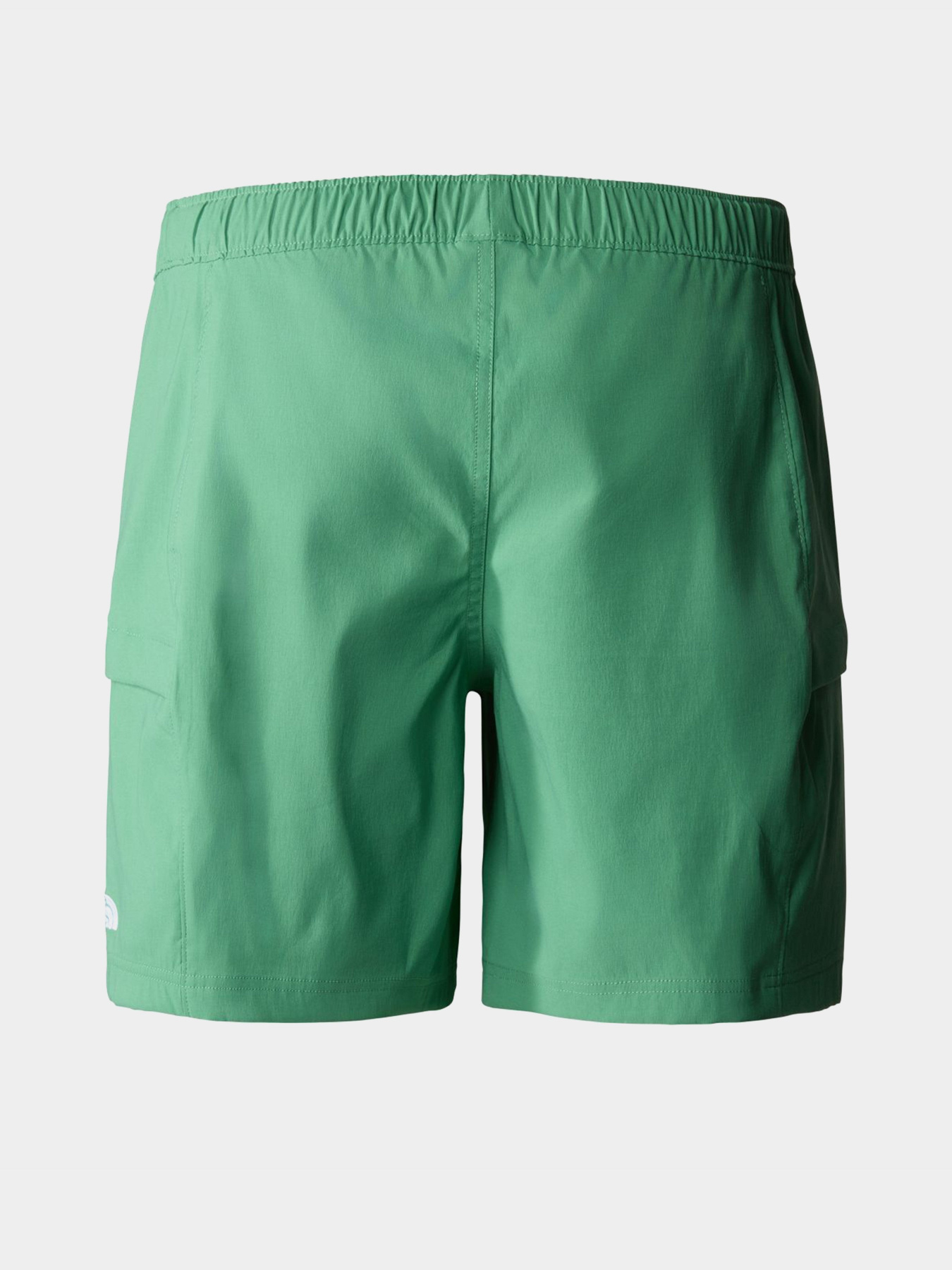 Спортивні шорти The North Face Class V Belt модель NF0A55V8N111 Фото