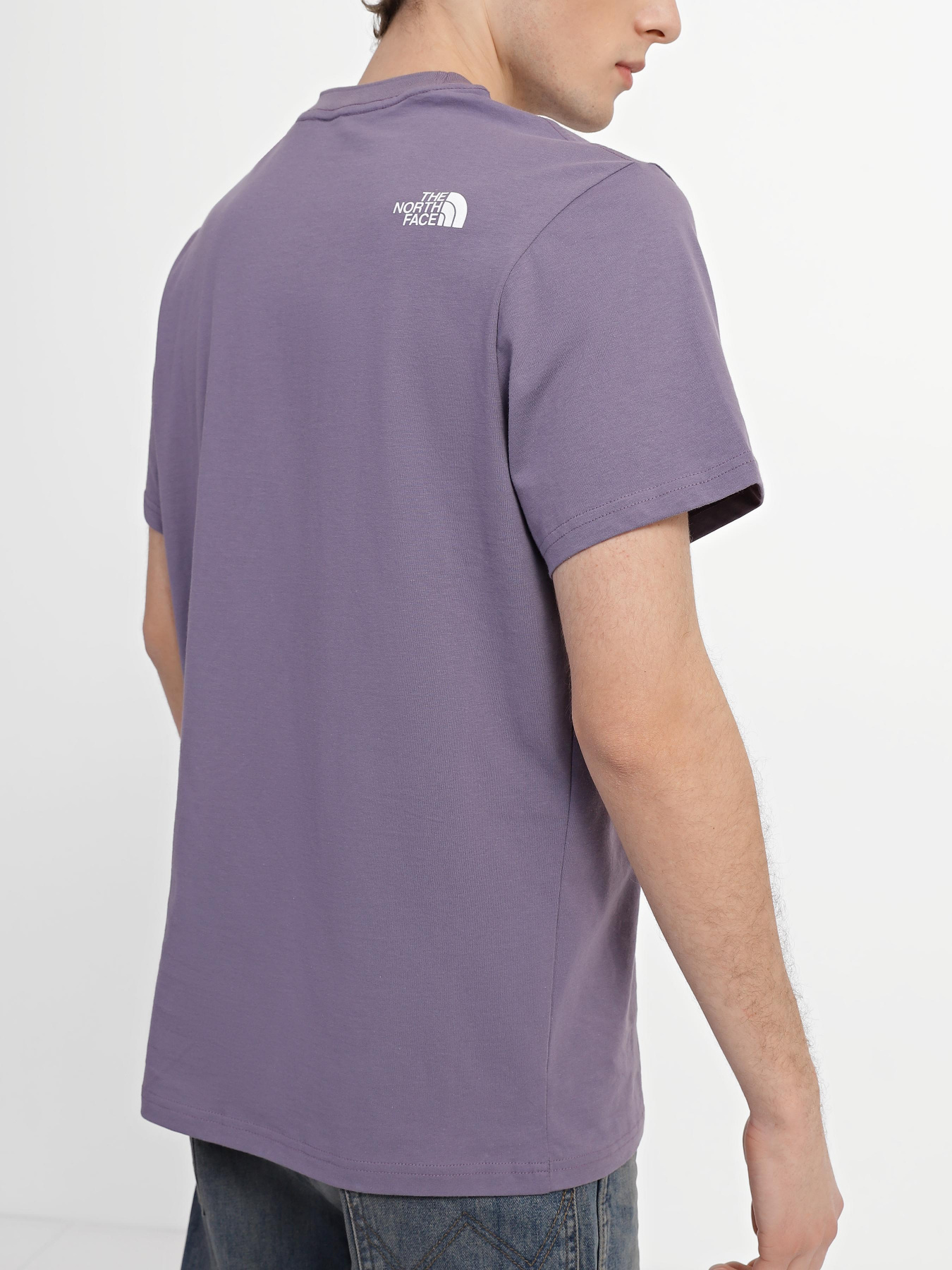 Футболка The North Face Zumu модель NF0A5ILGN141 Фото