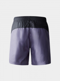 Шорти спортивні The North Face Hydrenaline™ 2000 модель NF0A5J4JN141 Фото