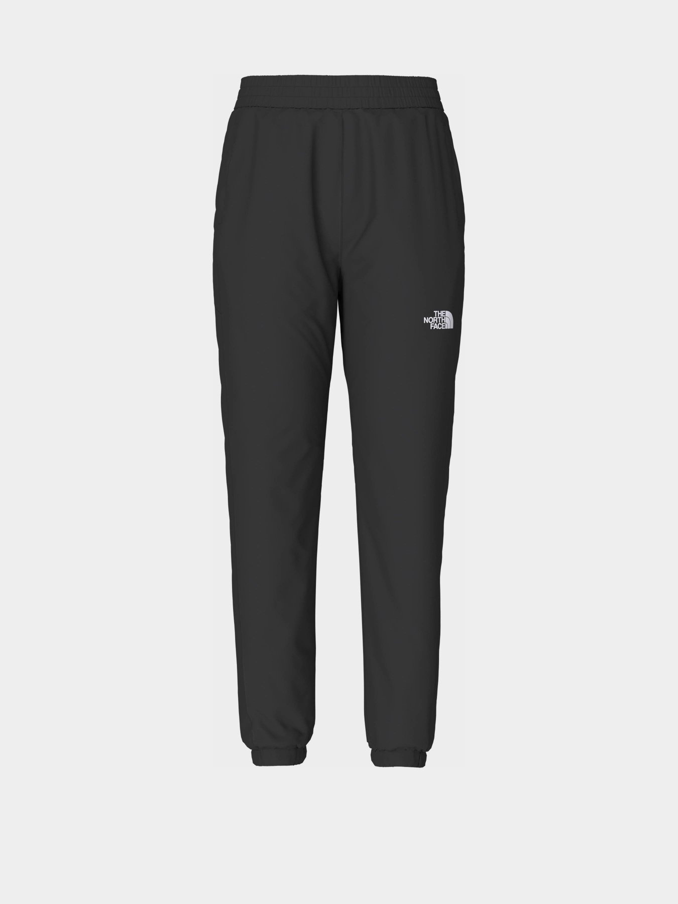 Штаны спортивные The North Face Hydrenaline 2000 модель NF0A5J6KJK31 Фото