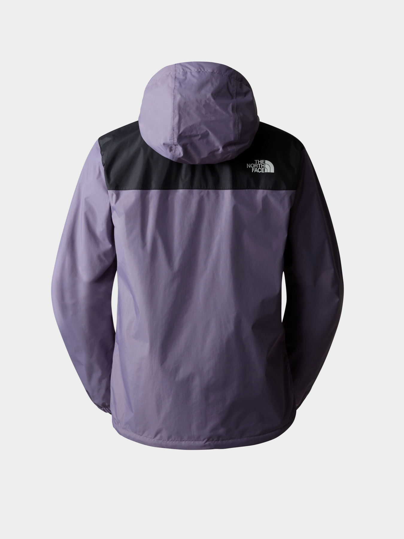 Демисезонная куртка The North Face модель NF0A7QEYUK51 Фото