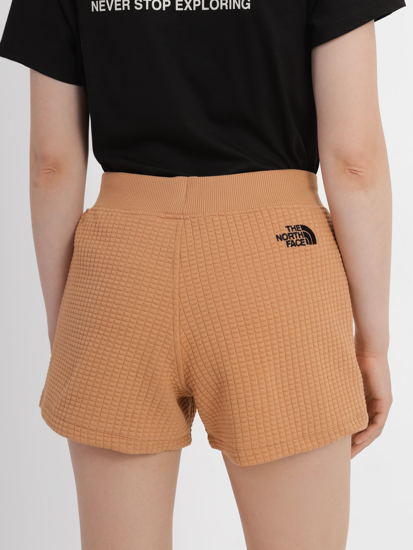 Шорты спортивные The North Face Mhysa модель NF0A7R25N151 Фото