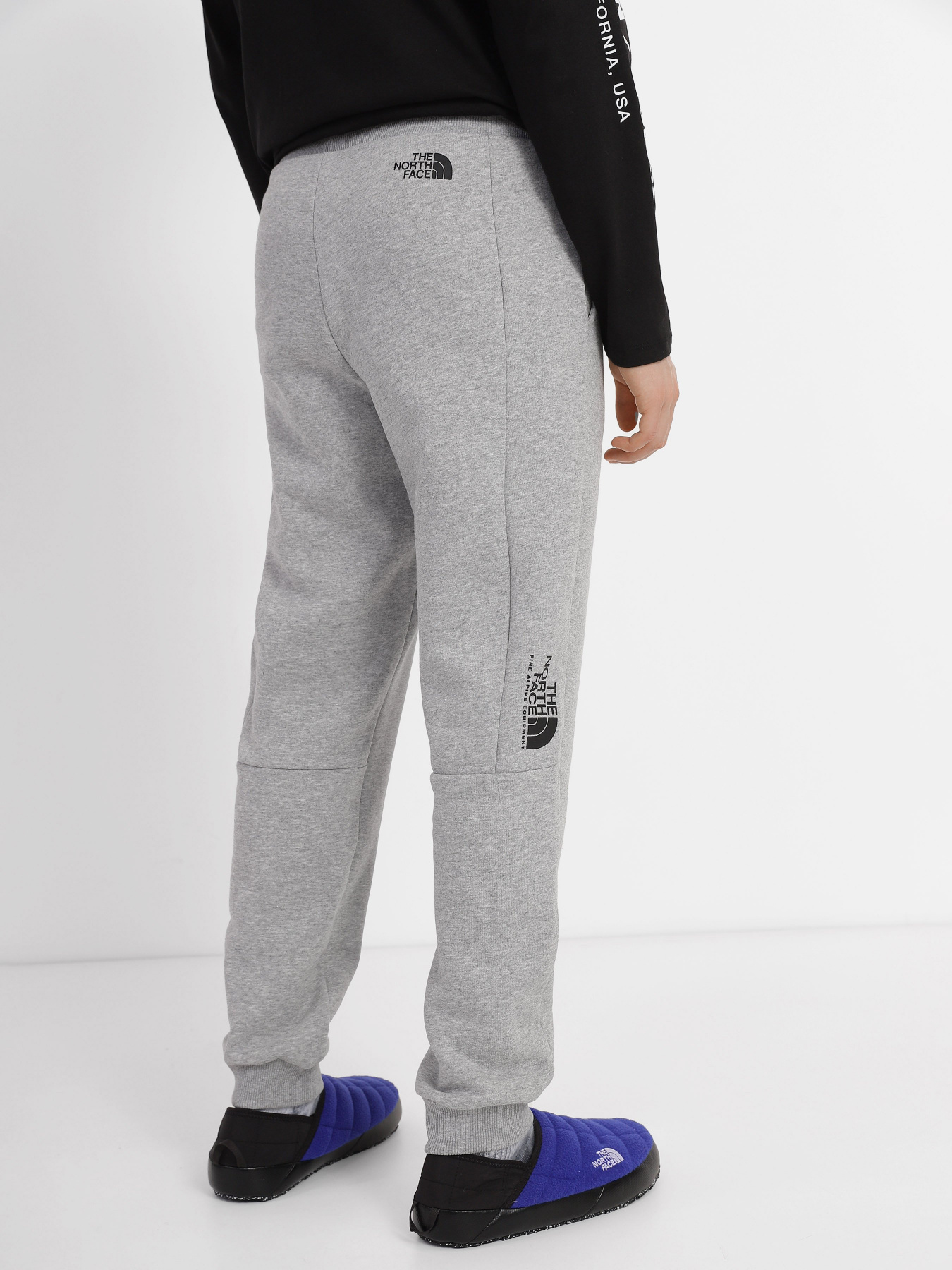 Спортивні штани The North Face Black Box Fine Alpine Equipment модель NF0A7R2KHKQ1 Фото