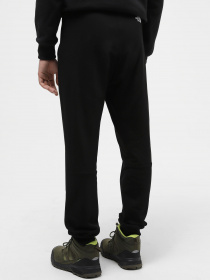 Штаны спортивные The North Face Black Box Fine Alpine Equipment модель NF0A7R2KKX71 Фото