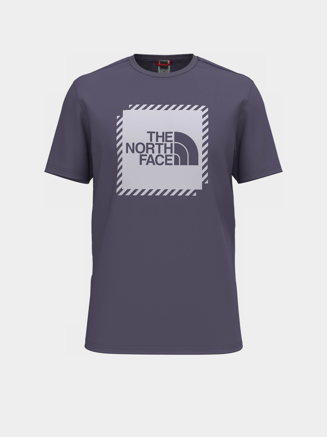 Футболка The North Face Biner Graphic 2 модель NF0A7R4JN141 Фото