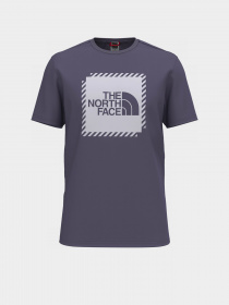 Футболка The North Face Biner Graphic 2 модель NF0A7R4JN141 Фото