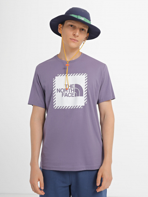 Футболка The North Face Biner Graphic 2 модель NF0A7R4JN141 Фото