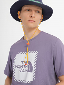 Футболка The North Face Biner Graphic 2 модель NF0A7R4JN141 Фото