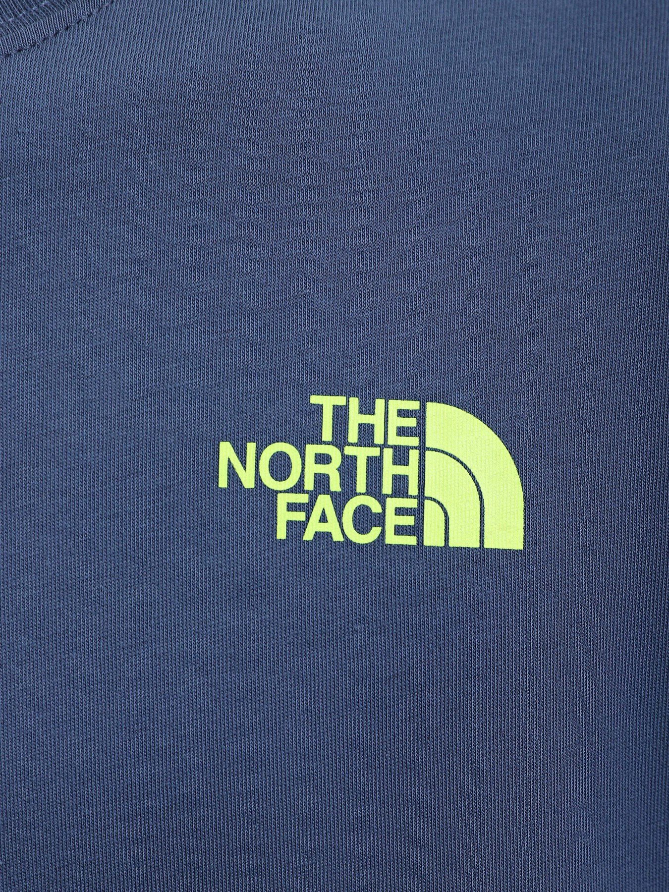 Футболка The North Face Biner Graphic 4 модель NF0A7R4LHDC1 Фото