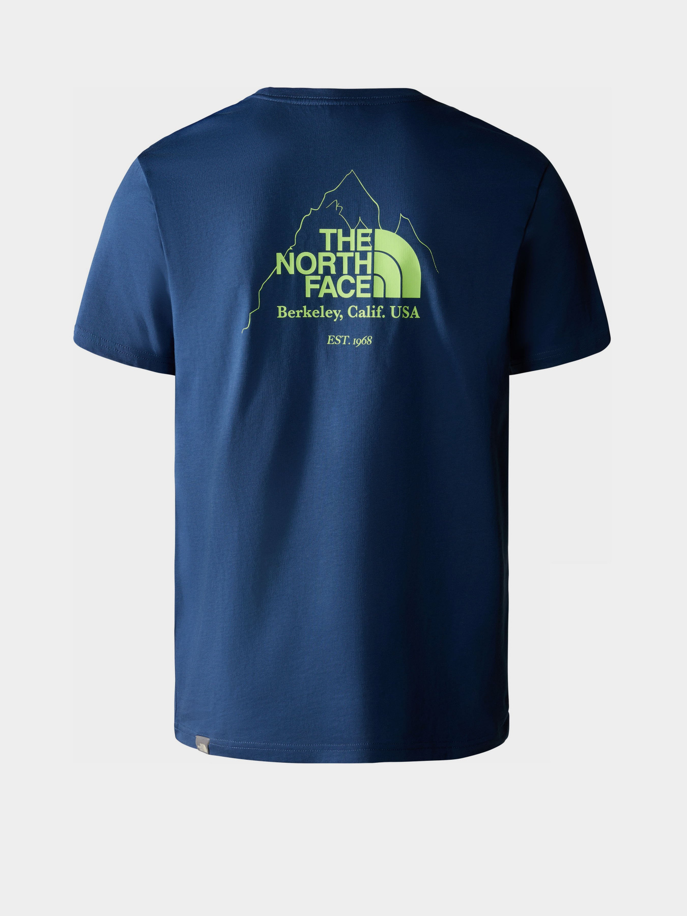 Футболка The North Face Biner Graphic 4 модель NF0A7R4LHDC1 Фото