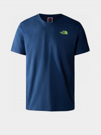 Футболка The North Face Biner Graphic 4 модель NF0A7R4LHDC1 Фото