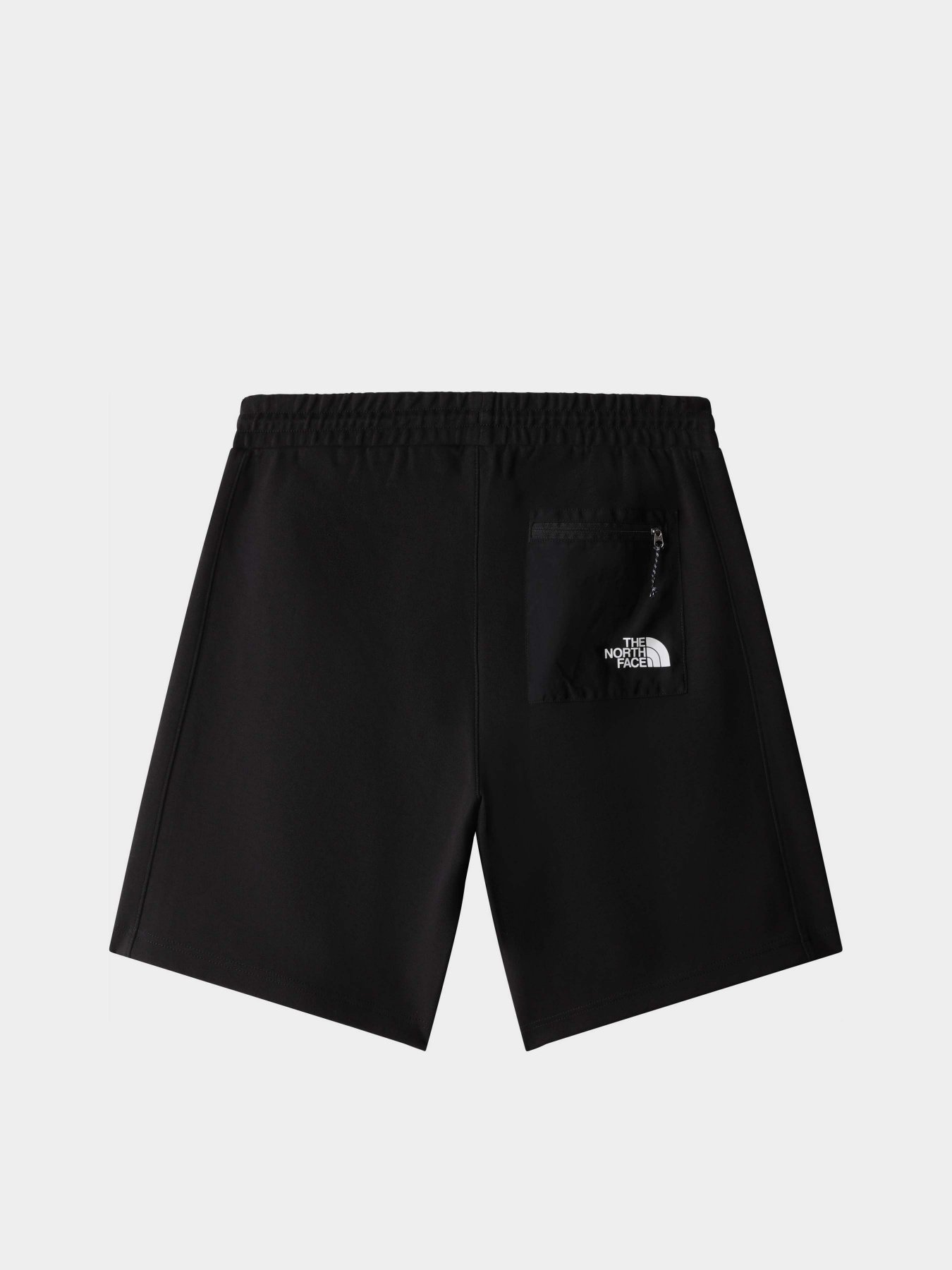 Шорты спортивные The North Face TNF™ Tech модель NF0A7UQTJK31 Фото