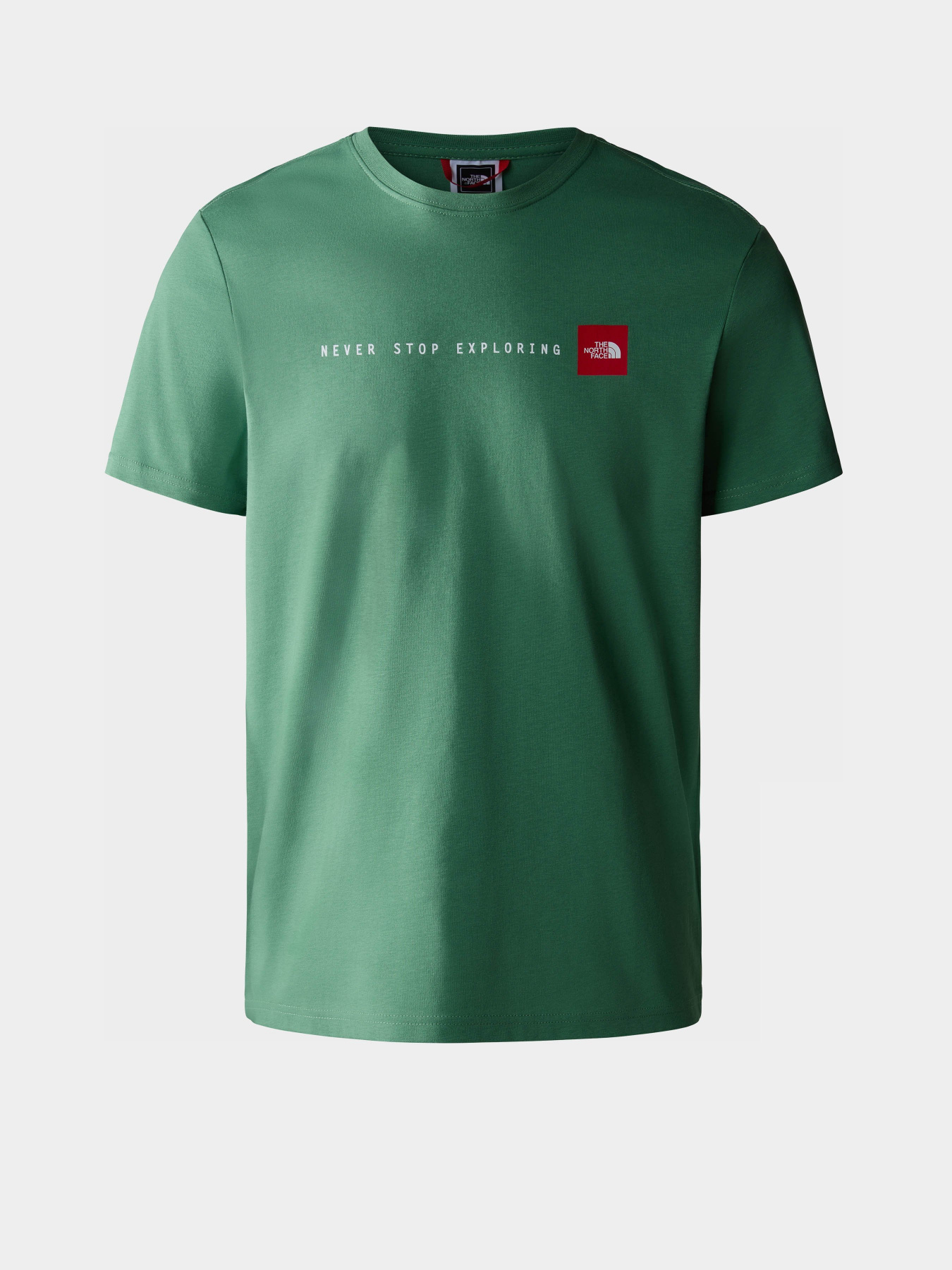 Футболка The North Face NSE модель NF0A7X1MN111 Фото