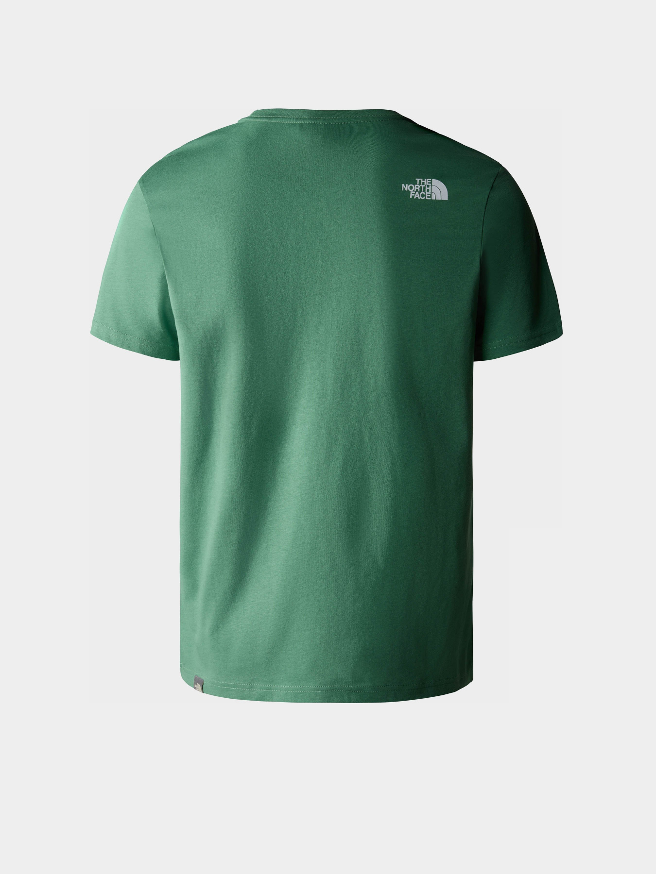 Футболка The North Face NSE модель NF0A7X1MN111 Фото