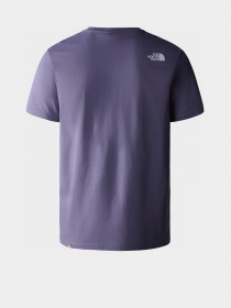 Футболка The North Face NSE модель NF0A7X1MN141 Фото