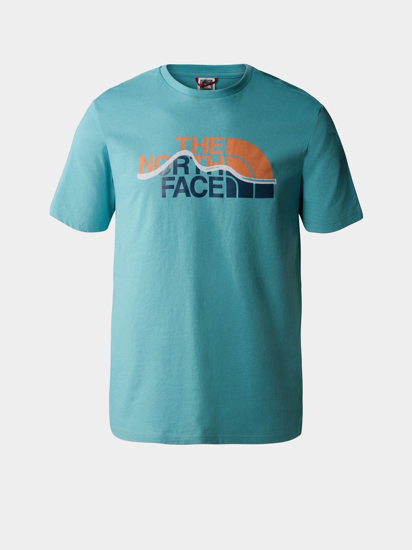 Футболка The North Face Mountein Line модель NF0A7X1NITW1 Фото