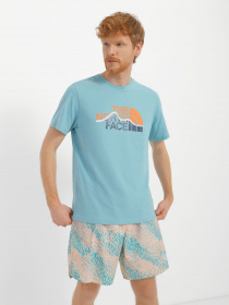 Футболка The North Face Mountein Line модель NF0A7X1NITW1 Фото