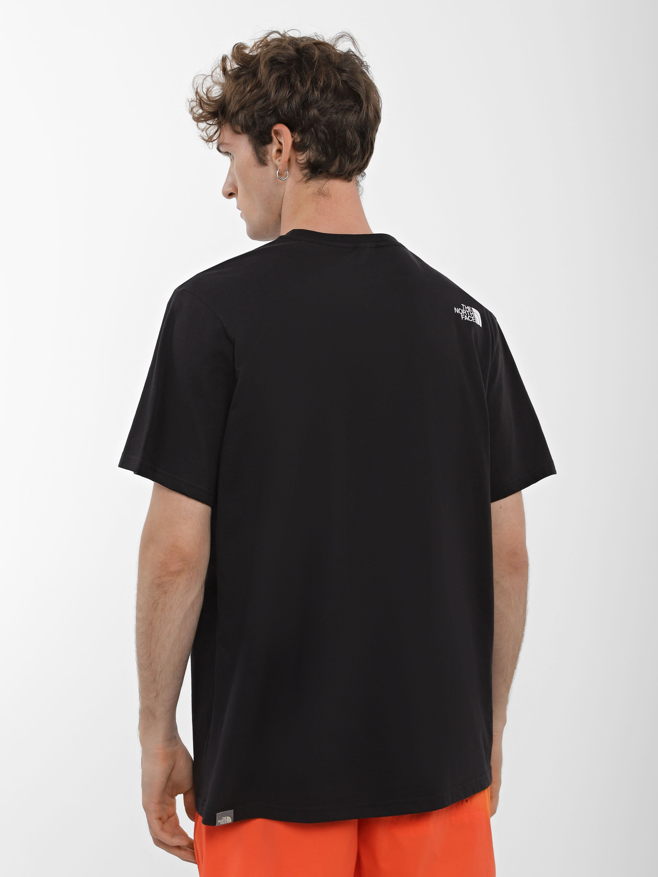 Футболка The North Face Mountein Line модель NF0A7X1NJK31 Фото