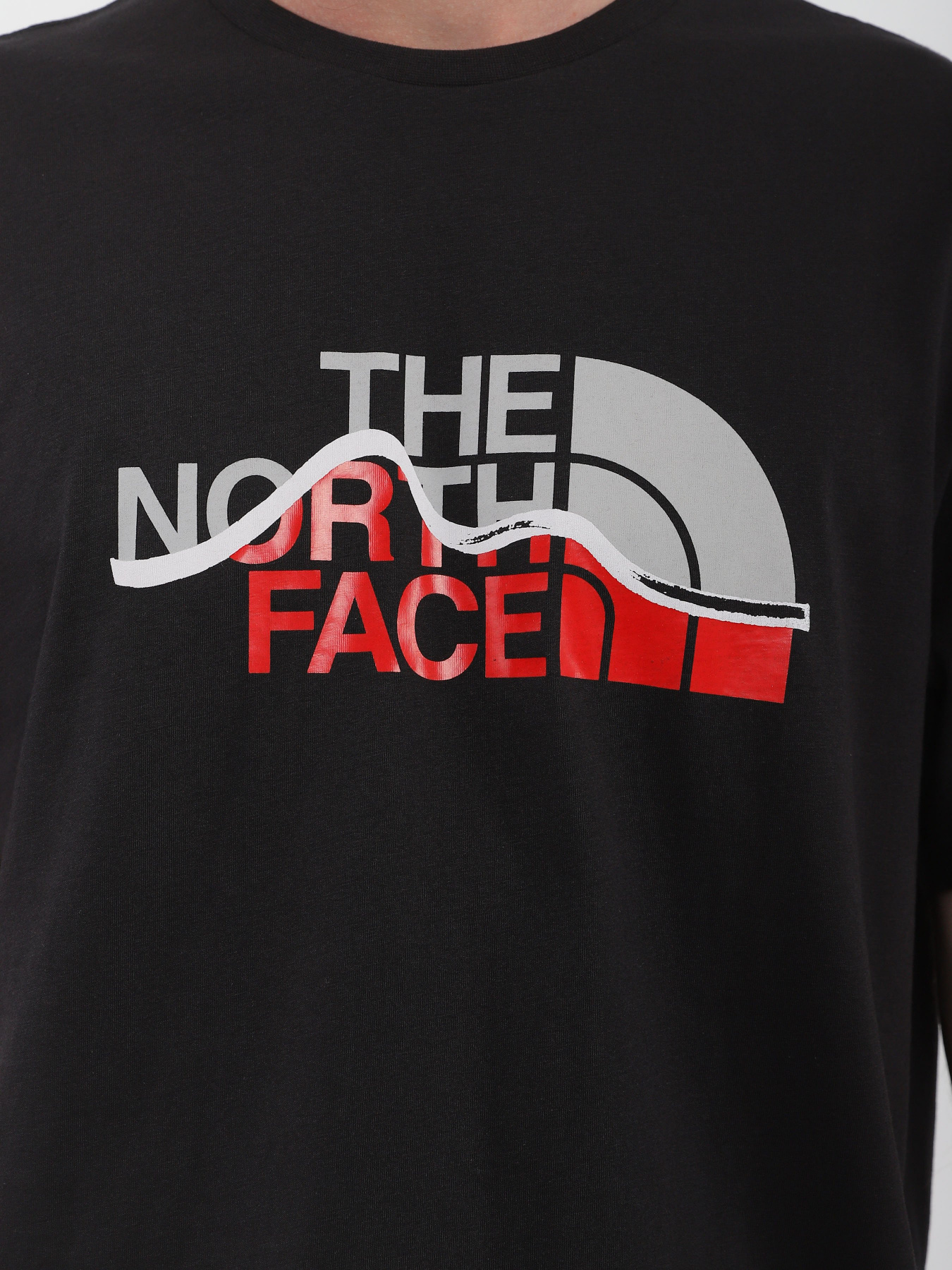 Футболка The North Face Mountein Line модель NF0A7X1NJK31 Фото