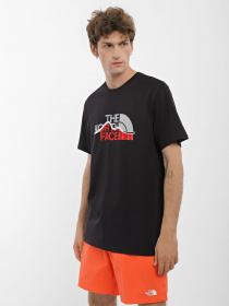 Футболка The North Face Mountein Line модель NF0A7X1NJK31 Фото