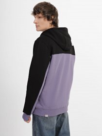 Кофта The North Face Icon модель NF0A7X1YN141 Фото