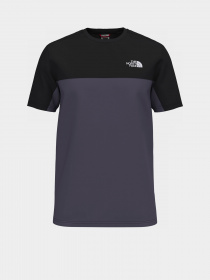 Футболка The North Face ICON модель NF0A7X21N141 Фото