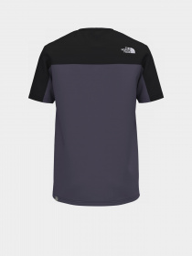 Футболка The North Face ICON модель NF0A7X21N141 Фото