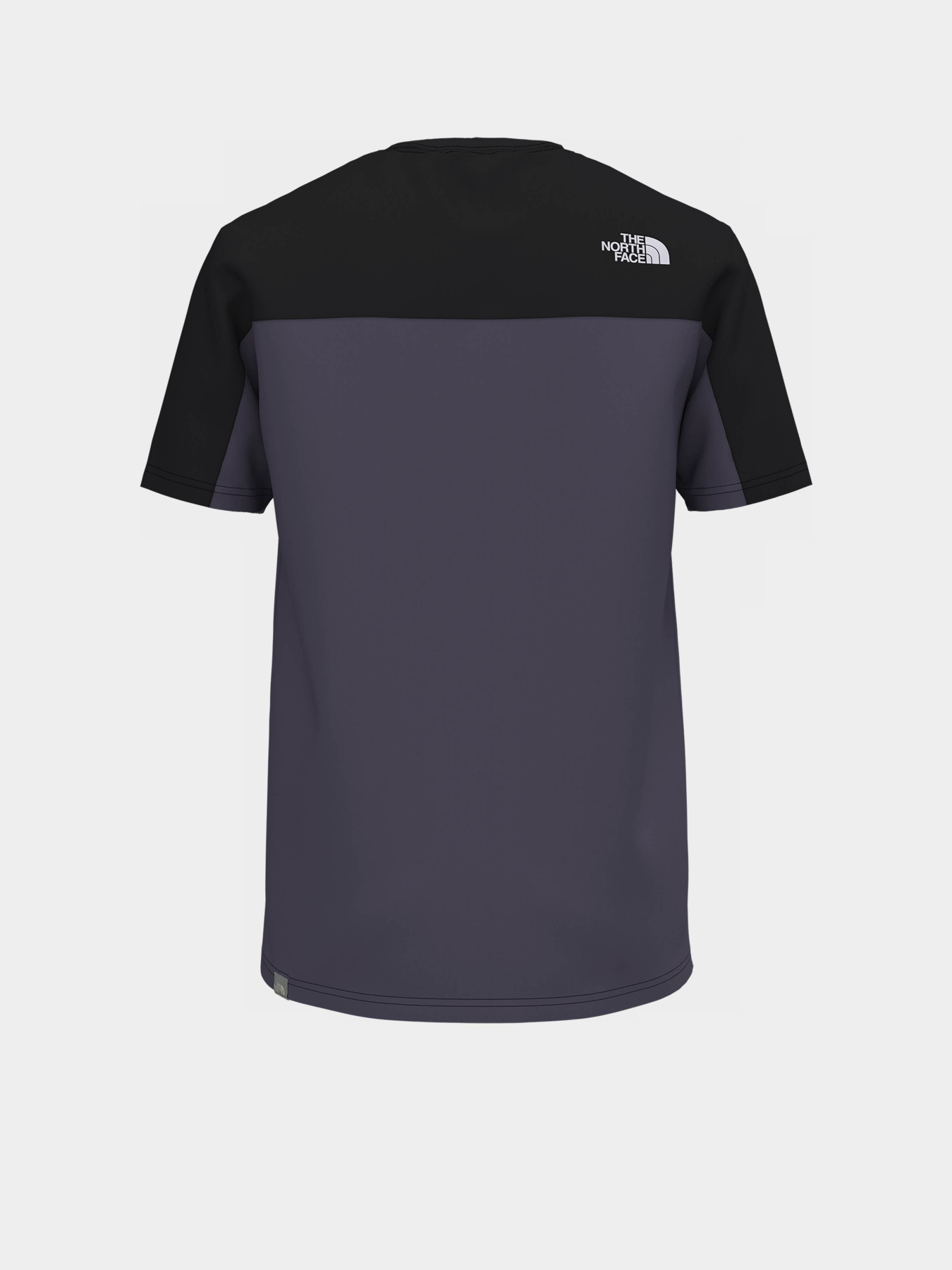 Футболка The North Face ICON модель NF0A7X21N141 Фото