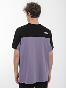 Футболка The North Face ICON модель NF0A7X21N141 Фото