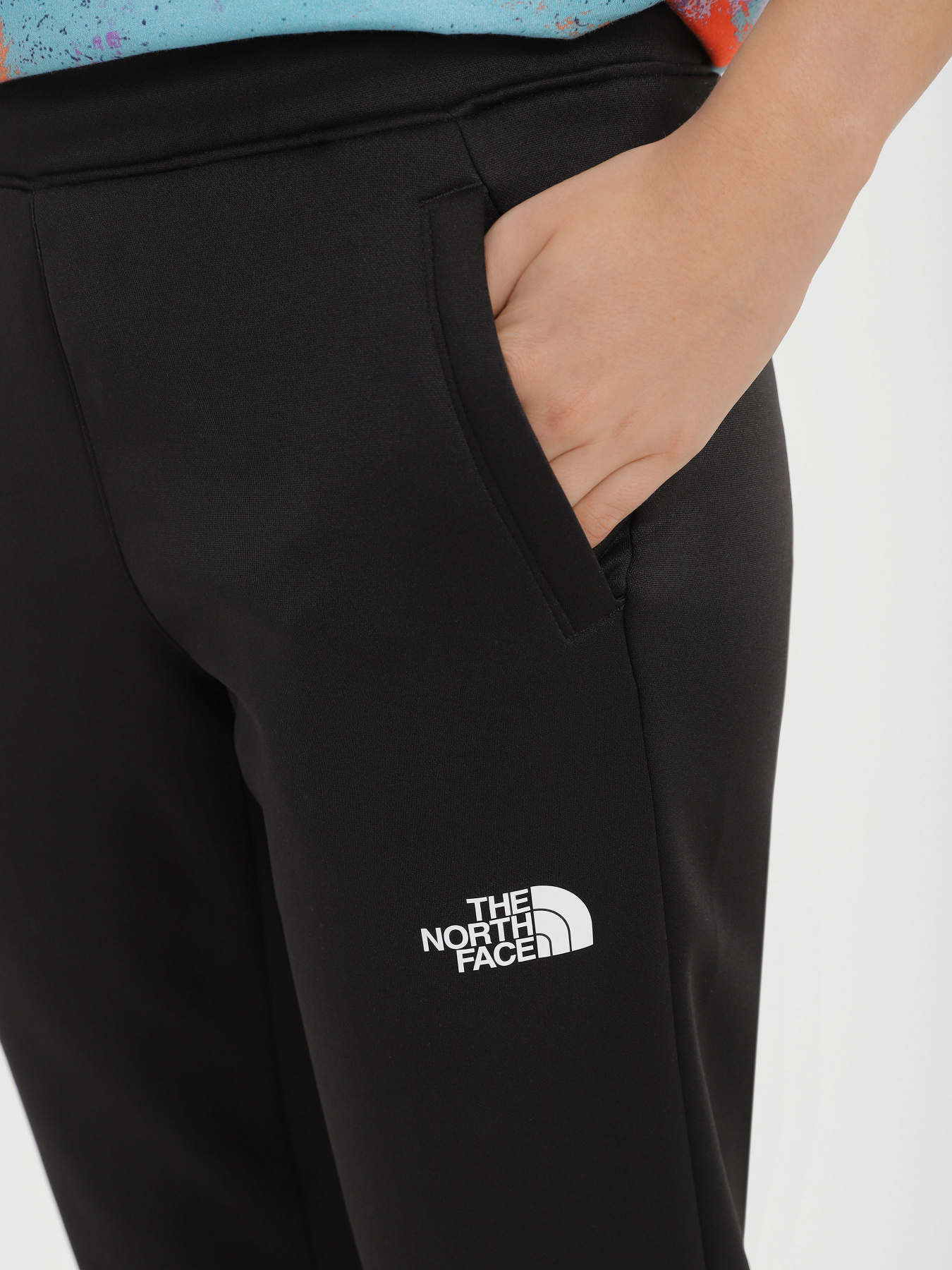 Штаны спортивные The North Face Reaxion модель NF0A7ZABJK31 Фото