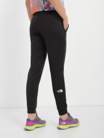 Спортивні штани The North Face Reaxion модель NF0A7ZABJK31 Фото