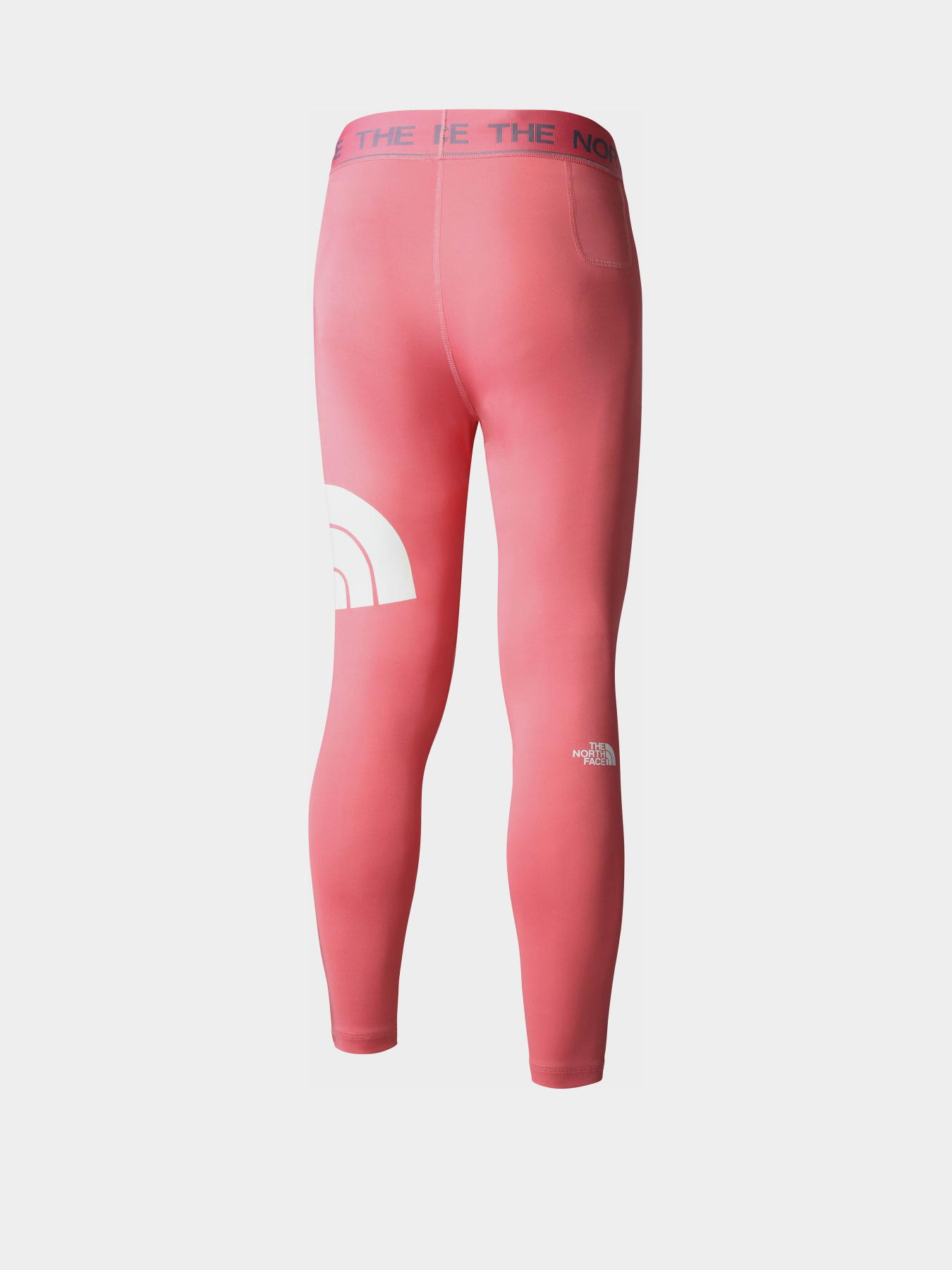 Леггинсы спортивные The North Face Flex модель NF0A7ZB7N0T1 Фото